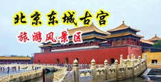 亚洲黑逼中国北京-东城古宫旅游风景区